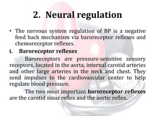 2. Neural regulation
• The nervous system regulation of BP is a negative
feed back mechanism via baroreceptor reflexes and
chemoreceptor reflexes.
i. Baroreceptor reflexes
Baroreceptors are pressure-sensitive sensory
receptors, located in the aorta, internal carotid arteries
and other large arteries in the neck and chest. They
send impulses to the cardiovascular center to help
regulate blood pressure.
The two most important baroreceptor reflexes
are the carotid sinus reflex and the aortic reflex.
 