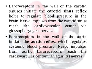 • Baroreceptors in the wall of the carotid
sinuses initiate the carotid sinus reflex
helps to regulate blood pressure in the
brain. Nerve impulses from the carotid sinus
reach the cardiovascular center via
glossopharyngeal nerves.
• Baroreceptors in the wall of the aorta
initiate the aortic reflex, which regulates
systemic blood pressure. Nerve impulses
from aortic baroreceptors reach the
cardiovascular center via vagus (X) nerves.
 