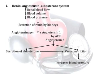 i. Renin–angiotensin–aldosterone system
Renal blood flow
Blood volume
Blood pressure
Secretion of renin by kidneys
Angiotensinogen Angiotensin 1
by ACE
Angiotensin 2
Secretion of aldosterone Vasoconstriction
Increases blood pressure
 