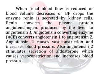 When renal blood flow is reduced or
blood volume decreases or BP drops the
enzyme renin is secreted by kidney cells.
Renin converts the plasma protein
angiotensinogen, produced by the liver, to
angiotensin 1. Angiotensin converting enzyme
(ACE) converts angiotensin 1 to angiotensin 2.
Angiotensin 2 causes vasoconstriction and
increases blood pressure. Also angiotensin 2
stimulates secretion of aldosterone which
causes vasoconstriction and increases blood
pressure.
 