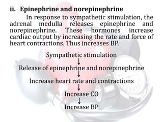 ii. Epinephrine and norepinephrine
In response to sympathetic stimulation, the
adrenal medulla releases epinephrine and
norepinephrine. These hormones increase
cardiac output by increasing the rate and force of
heart contractions. Thus increases BP.
Sympathetic stimulation
Release of epinephrine and norepinephrine
Increase heart rate and contractions
Increase CO
Increase BP
 