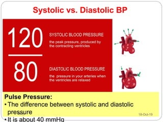 Systolic vs. Diastolic BP
Pulse Pressure:
• The difference between systolic and diastolic
pressure
• It is about 40 mmHg
18-Oct-19MKB
 