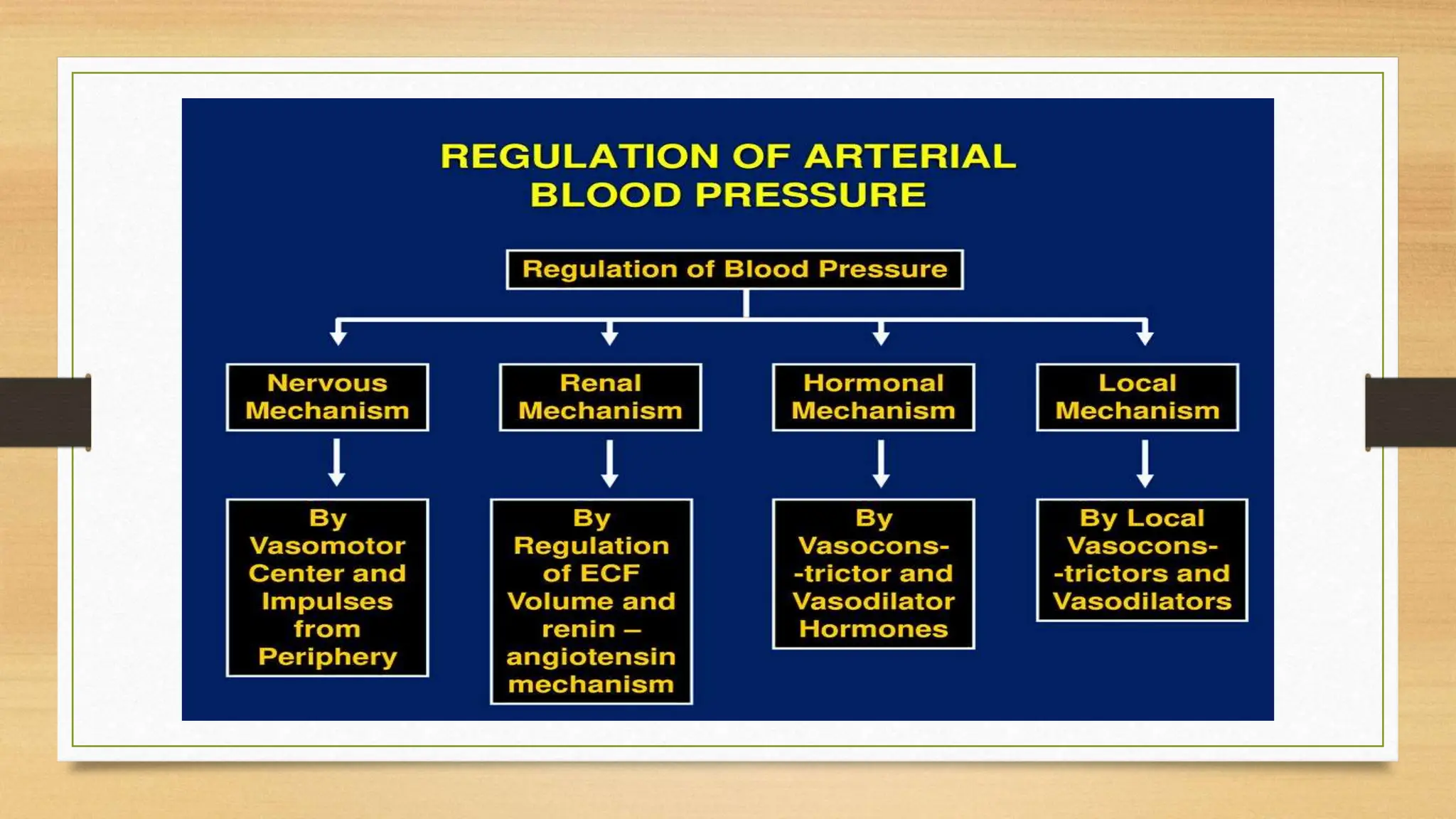 Physiology of Blood Pressure - Regulation | PPTX