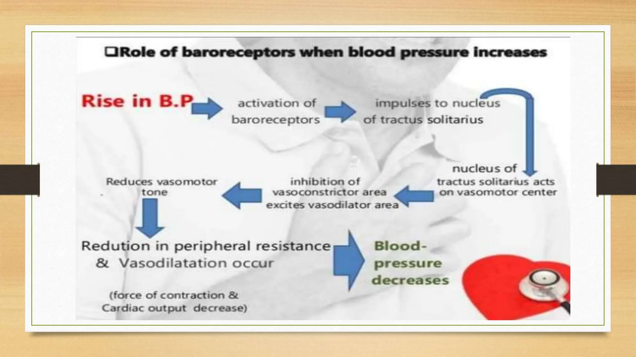 Physiology of Blood Pressure - Regulation | PPTX