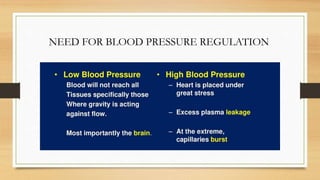 Physiology of Blood Pressure - Regulation | PPTX