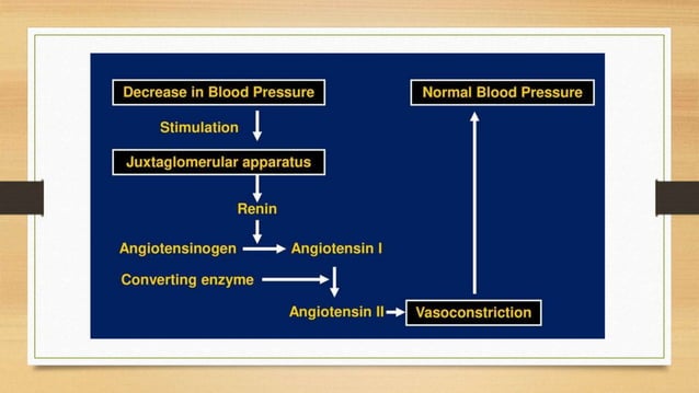 Physiology of Blood Pressure - Regulation | PPTX