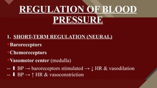 BLOOD PRESSURE 5.pptx for ist year it is best | PPTX