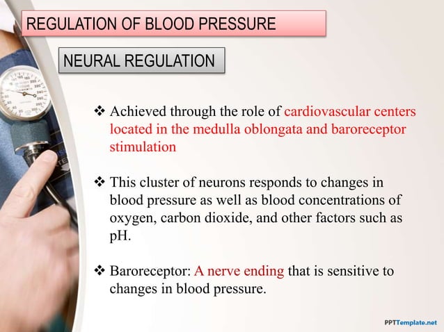 Example Bp Regulation Blood pressure and its regulation | PPTX