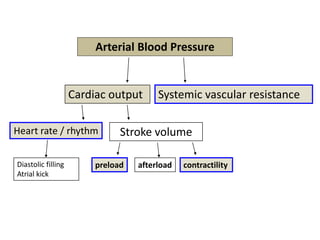 Arterial Blood Pressure

Cardiac output
Heart rate / rhythm
Diastolic filling
Atrial kick

Systemic vascular resistance

Stroke volume

preload

afterload

contractility

 