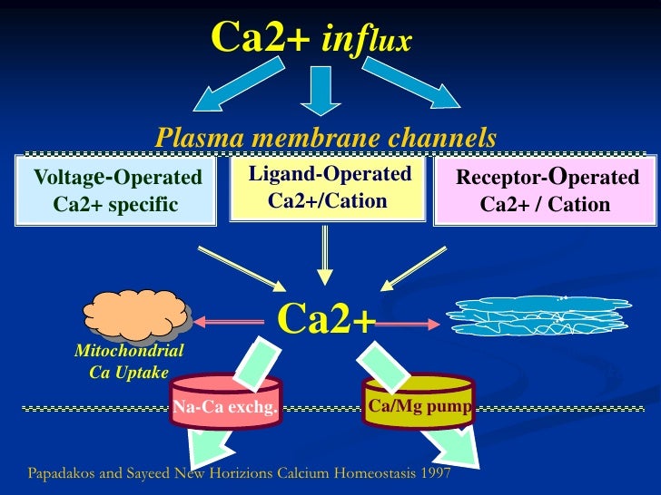 blood pressure control in neuro icu neuro icu