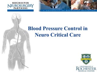 Blood Pressure Control in Neuro Critical Care PJ Papadakos MD FCCM Director CCM Professor Anesthesiology, Surgery and Neurosurgery Rochester NY USA 