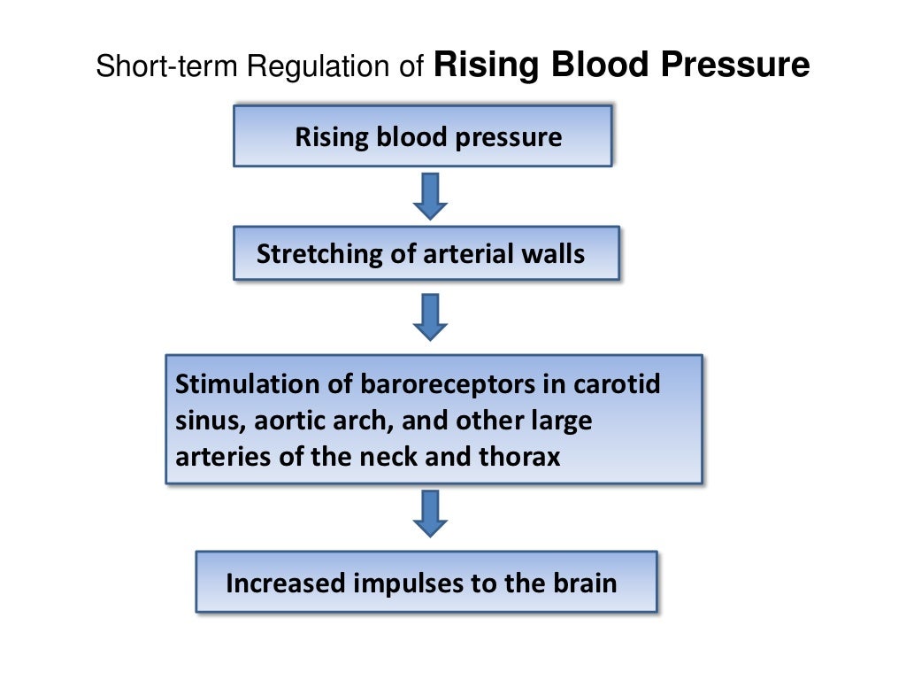 Blood pressure mechanism