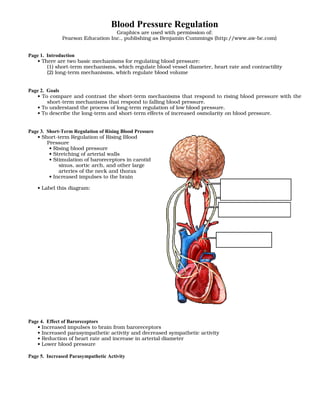 Example Bp Regulation Blood pressure regulation | PDF