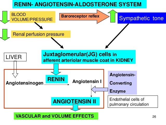 raas system flowchart raas system flowchart 28 images raas system flowchart raas system flowchart raas system flowchart 28 images raas system flowchart