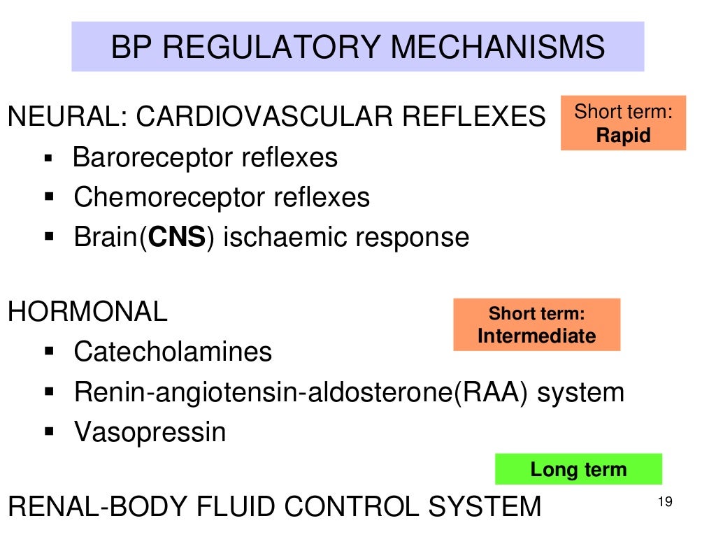 Blood pressure regulation 2013