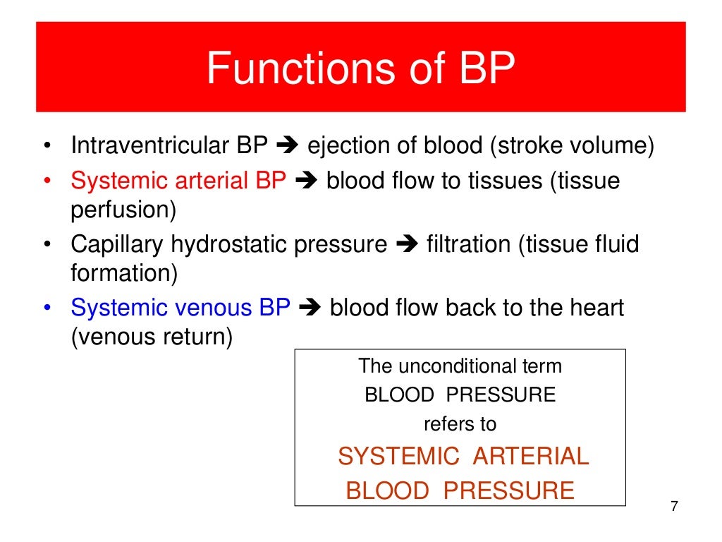 Blood pressure regulation 2013