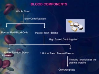 Whole Blood 
BLOOD COMPONENTS 
Slow Centrifugation 
Packed Red Blood Cells Platelet Rich Plasma 
High Speed Centrifugation 
1 Unit of Random Donor 
Platelets 
1 Unit of Fresh Frozen Plasma 
Thawing precipitates the 
plasma proteins 
Cryoprecipitate 
 