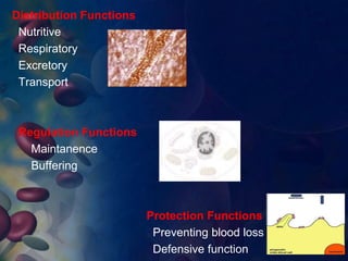 Distribution Functions 
Nutritive 
Respiratory 
Excretory 
Transport 
Regulation Functions 
Maintanence 
Buffering 
Protection Functions 
Preventing blood loss 
Defensive function 
8 
 