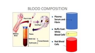 BLOOD COMPOSITION
 Plasma:
Serum and
Fibrin
 Buffy Coat:
White
Blood Cells
 Red Blood
Cells
 