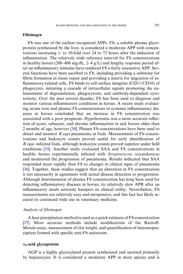 Blood proteins and inflammation in the horse