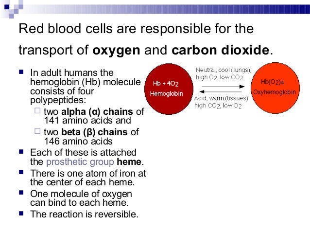 blood respiratory function jaundice an increase in the rate of red blood cell breakdown causes which form of jaundice