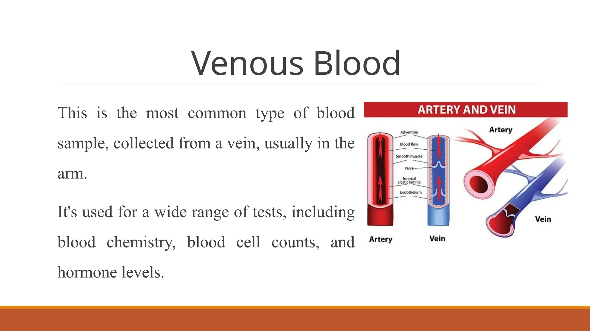 Venous Blood Sample Collection