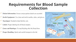 Requirements for Blood Sample
Collection
 Patient Information: Ensure correct patient details are recorded.
 Sterile Equipment: Use clean and sterile needles, tubes, and gloves.
 Tourniquet: Needed to help find the vein.
 Labels: Proper labeling for all blood samples.
 Gauze and Bandages: To stop bleeding after the blood draw.
 Proper Handling: Quick and careful transport to the lab.
 