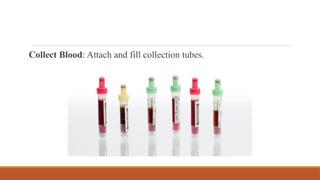 Collect Blood: Attach and fill collection tubes.
 
