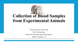 Blood sample collection from Lab animals | PPTX