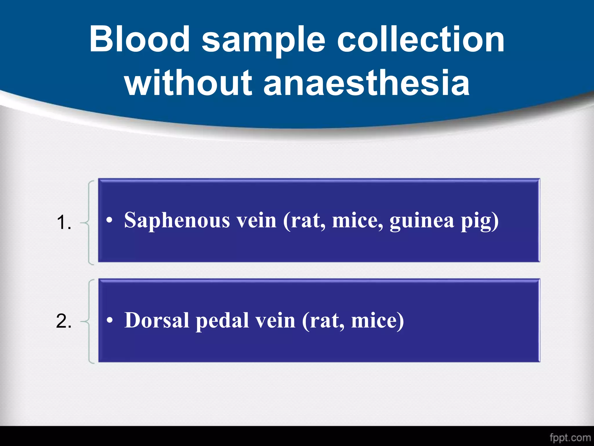 Blood sample collection
without anaesthesia
1. • Saphenous vein (rat, mice, guinea pig)
2. • Dorsal pedal vein (rat, mice)
 