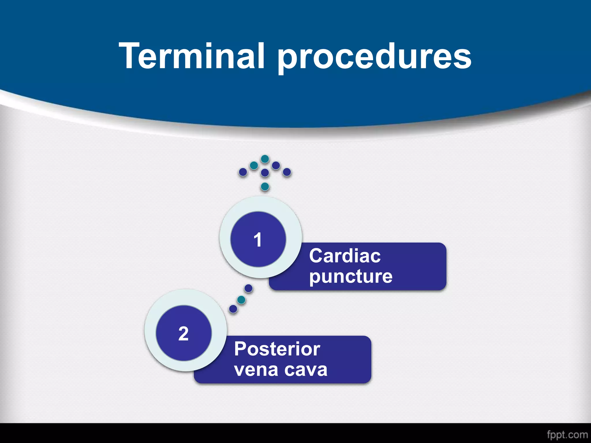 Terminal procedures
Posterior
vena cava
Cardiac
puncture
1
2
 