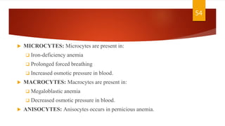 Microcyte Conditions Blood and Blood related disorders | PPTX