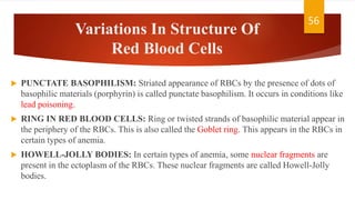 Poison Strands Blood and Blood related disorders | PPTX
