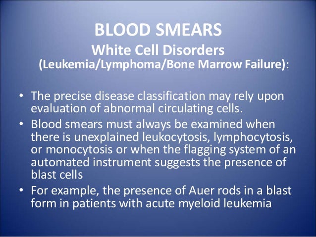 Blood film report example image