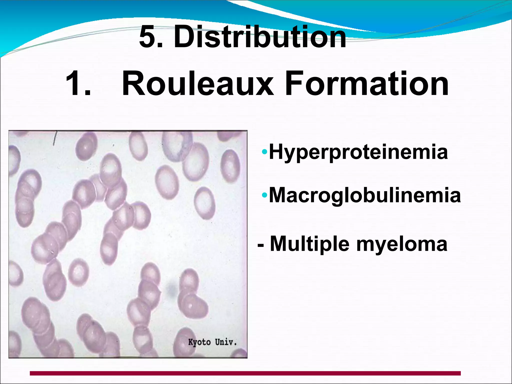 Blood smear examination 15.ppt.pptx