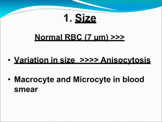 1. Size
Normal RBC (7 µm) >>>
• Variation in size >>>> Anisocytosis
• Macrocyte and Microcyte in blood
smear
 