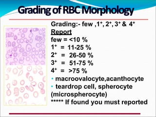Grading:- few ,1+, 2+, 3+ & 4+
Report
few = <10 %
= 11-25 %
= 26-50 %
= 51-75 %
1+
2+
3+
4+
= >75 %
• macroovalocyte,acanthocyte
• teardrop cell, spherocyte
(microspherocyte)
***** If found you must reported
 