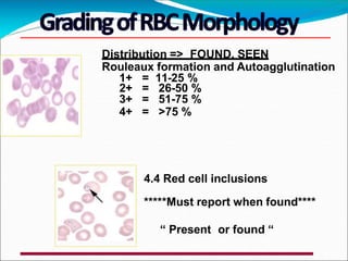 Distribution => FOUND, SEEN
Rouleaux formation and Autoagglutination
1+ = 11-25 %
2+ = 26-50 %
3+ = 51-75 %
4+ = >75 %
4.4 Red cell inclusions
*****Must report when found****
“ Present or found “
 