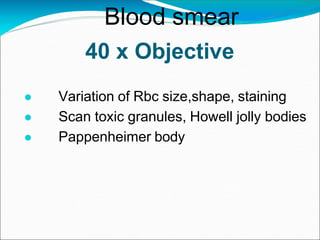 40 x Objective
● Variation of Rbc size,shape, staining
● Scan toxic granules, Howell jolly bodies
● Pappenheimer body
Blood smear
 