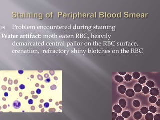 Artifact In Rbc Blood smear prep | PPTX