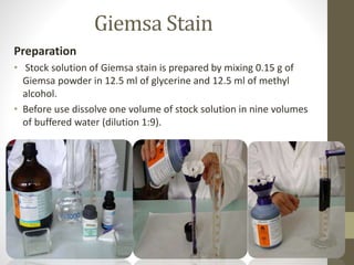 Giemsa Stain
Preparation
• Stock solution of Giemsa stain is prepared by mixing 0.15 g of
Giemsa powder in 12.5 ml of glycerine and 12.5 ml of methyl
alcohol.
• Before use dissolve one volume of stock solution in nine volumes
of buffered water (dilution 1:9).
 