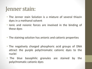 Jenner stain:
• The Jenner stain Solution is a mixture of several thiazin
dyes in a methanol solvent
• Ionic and noionic forces are involved in the binding of
these dyes
• The staining solution has anionic and cationic properties
• The negatively charged phosphoric acid groups of DNA
attract the purple polychromatic cationic dyes to the
nuclei
• The blue basophilic granules are stained by the
polychromatic cationic dyes
 
