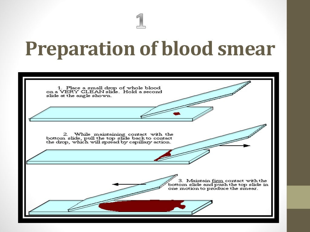 Blood smear staining