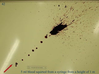 Splash 1 5 ml blood squirted from a syringe from a height of 1 m 42 