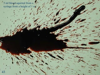 Splash 2 5 ml blood squirted from a  syringe from a height of 1 m 43 