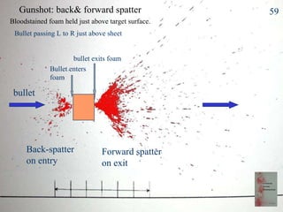 Gunshot: back& forward spatter Bloodstained foam held just above target surface. Back-spatter  on entry Forward spatter on exit Bullet passing L to R just above sheet 59 bullet Bullet enters  foam bullet exits foam 