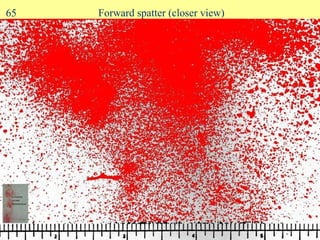 Forward spatter (closer view) 65 