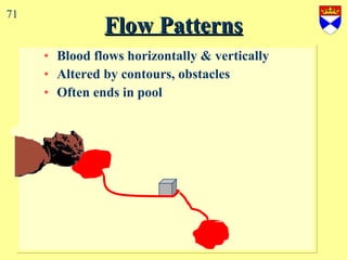 Flow Patterns Blood flows horizontally & vertically Altered by contours, obstacles Often ends in pool 71 