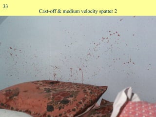 Cast-off & medium velocity spatter 2 33 