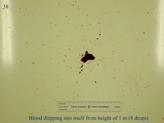 Drip 1: Blood dripping into itself from height of 1 m (8 drops) 38 